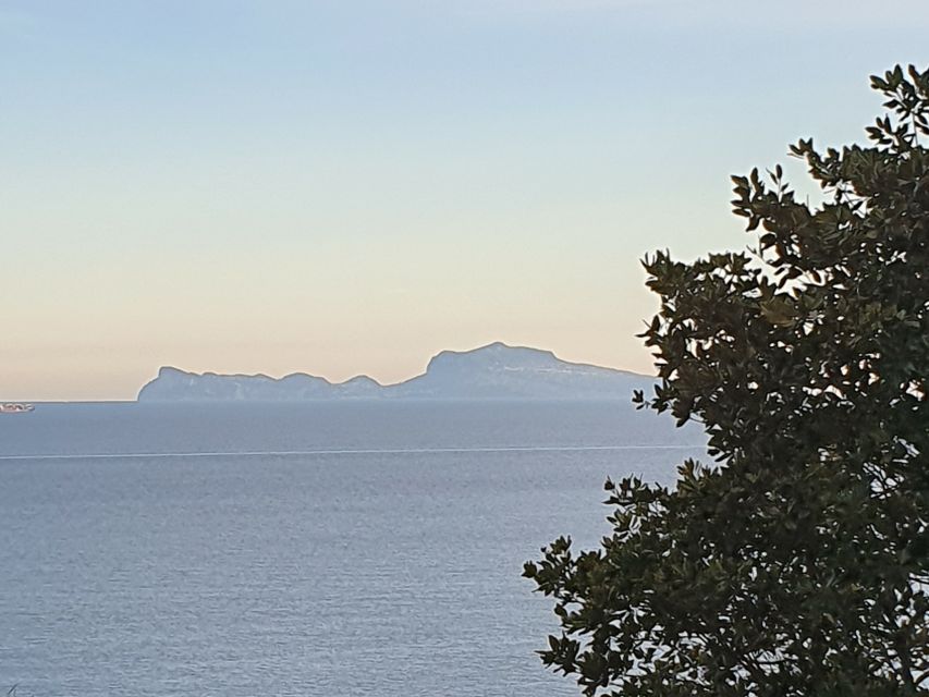 From Naples: Capri Day Trip with Lunch - Blue Grotto and Monte Solare: optional extras with real limits