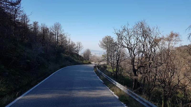From Naples: Day Trip to Mount Vesuvius - Price and logistics value check for a half-day