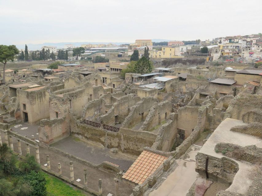 From Naples: Herculaneum, Mount Vesuvius & Pompeii Day Trip - Tickets, Guides, and the Real Cost of the Day