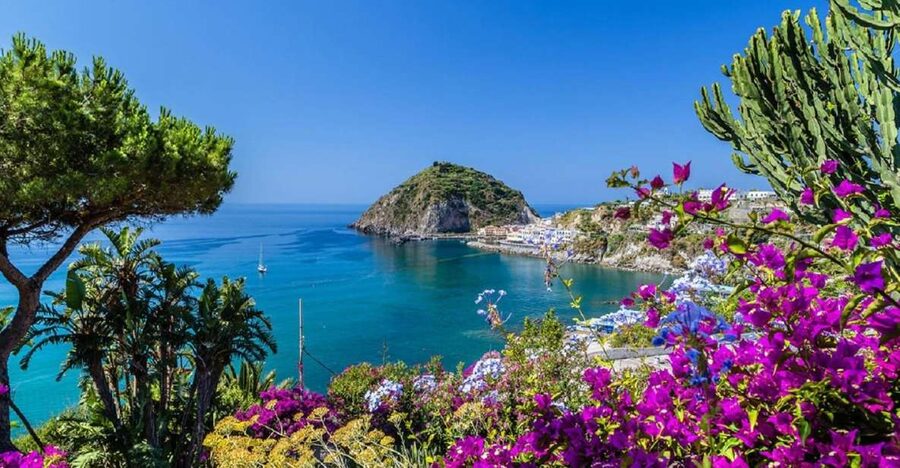 From Naples: Ischia Day Trip with Ferry Tickets and Lunch - Meeting at Molo Beverello: the easiest part of the logistics
