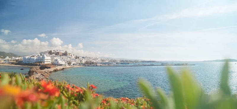 From Naxos: Delos and Mykonos Full-Day Trip - Sea Time to Delos: The Aegean Crossing Pace