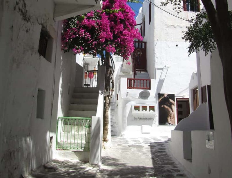 From Naxos: Round day trip to Mykonos Island - Price and value: does $82 make sense for a day trip?