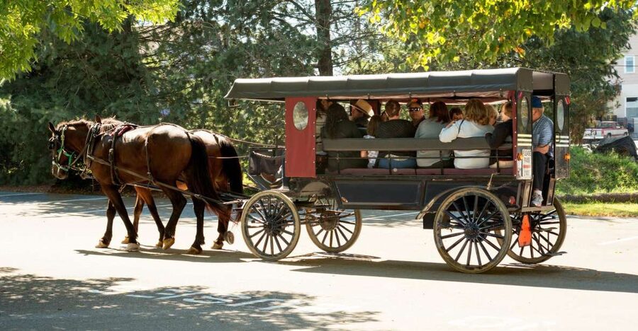 From NYC: Day Trip to Philadelphia and Amish Country - Key takeaways before you go