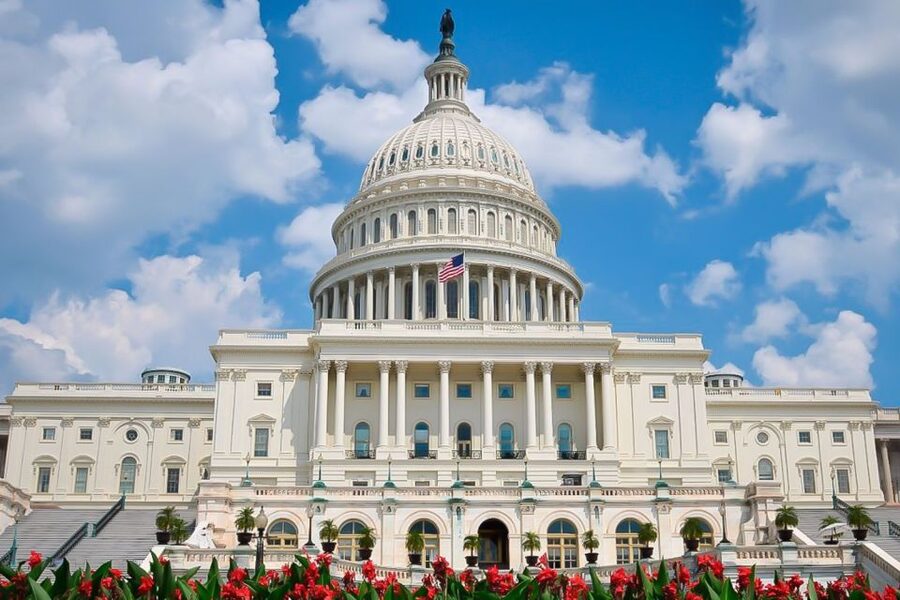 From NYC: Guided Day Trip to Washington DC by Van or Bus - A 15-hour Washington DC crash course (and why it actually works)
