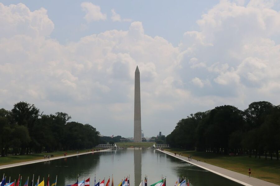 From NYC: Guided Day Trip to Washington DC by Van or Bus - Lunch and museum time on the National Mall: don’t waste the 90 minutes