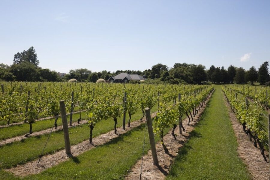 From NYC: Hamptons, Sag Harbor, and Outlet Shopping Day Trip - Complimentary Wine Tasting in Southampton (21+)