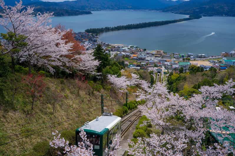 From Osaka: Amanohashidate and Ine Bay Day Trip - Why Amanohashidate and Ine Bay feel like a Kyoto-side escape