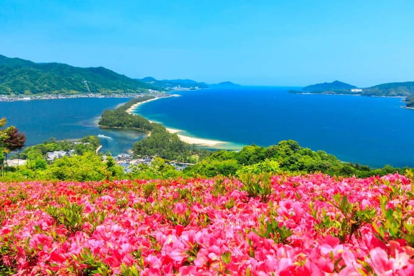 From Osaka: Amanohashidate and Ine Bay Day Trip - Should you book the Osaka to Amanohashidate and Ine Bay day trip?