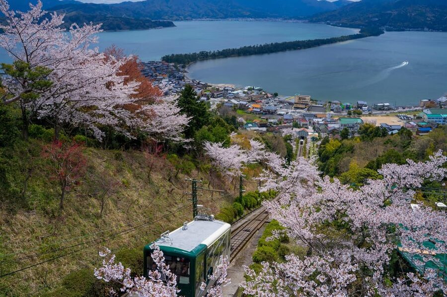 From Osaka: Amanohashidate and Ine Bay Day Trip - The Ine Bay sightseeing cruise: calm water, busy birds, and what to expect
