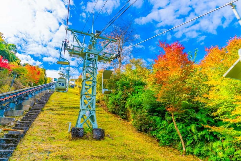 From Osaka: Amanohashidate and Ine Bay Day Trip - Who should book this tour (and who might not love it)