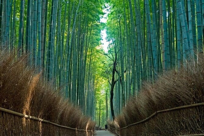 From Osaka/Kyoto: Kyoto & Nara Day Trip with Optional Lunch - Key things that make this day trip tick