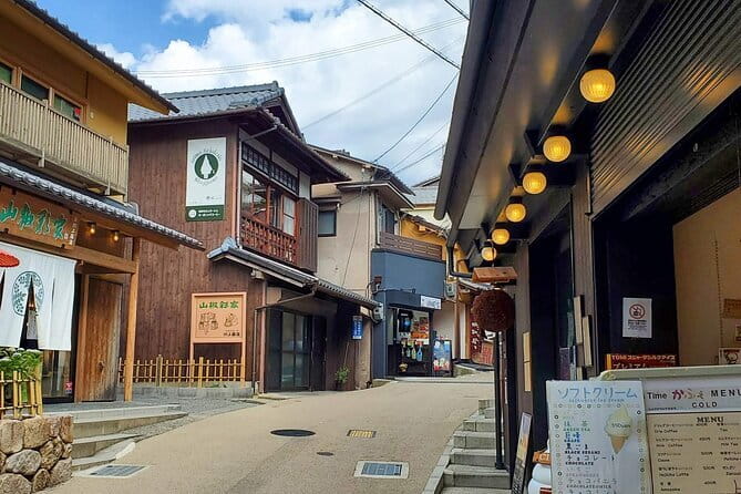 From Osaka/Kyoto: Kyoto & Nara Day Trip with Optional Lunch - Guides you might run into: energy, humor, and keeping the group moving