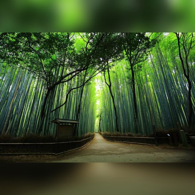 From Osaka/Kyoto: Private Kyoto & Nara Day Trip with Pickup - Nara Park and Todaiji’s Great Buddha: Deer Magic Meets UNESCO