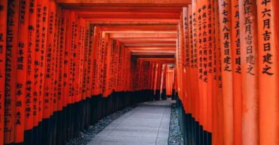 From Osaka/Kyoto: Private Kyoto & Nara Day Trip with Pickup - Your Private Ride and Host: What’s Included (and What Isn’t)