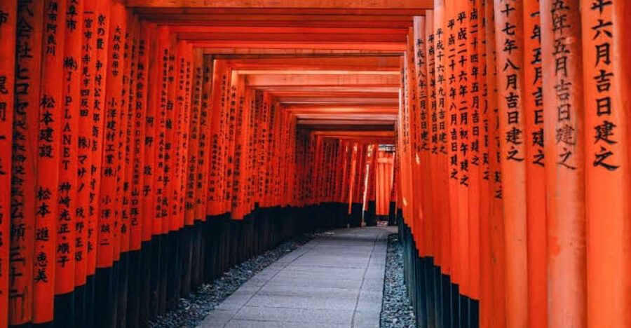 From Osaka/Kyoto: Private Kyoto & Nara Day Trip with Pickup - Your Private Ride and Host: What’s Included (and What Isn’t)