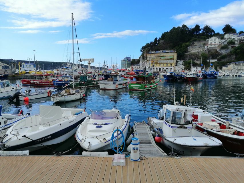 From Oviedo: Luarca, Cudillero and Avilés Day Trip - Avilés: The Historic Centre, the Estuary, and the Niemeyer Centre Moment