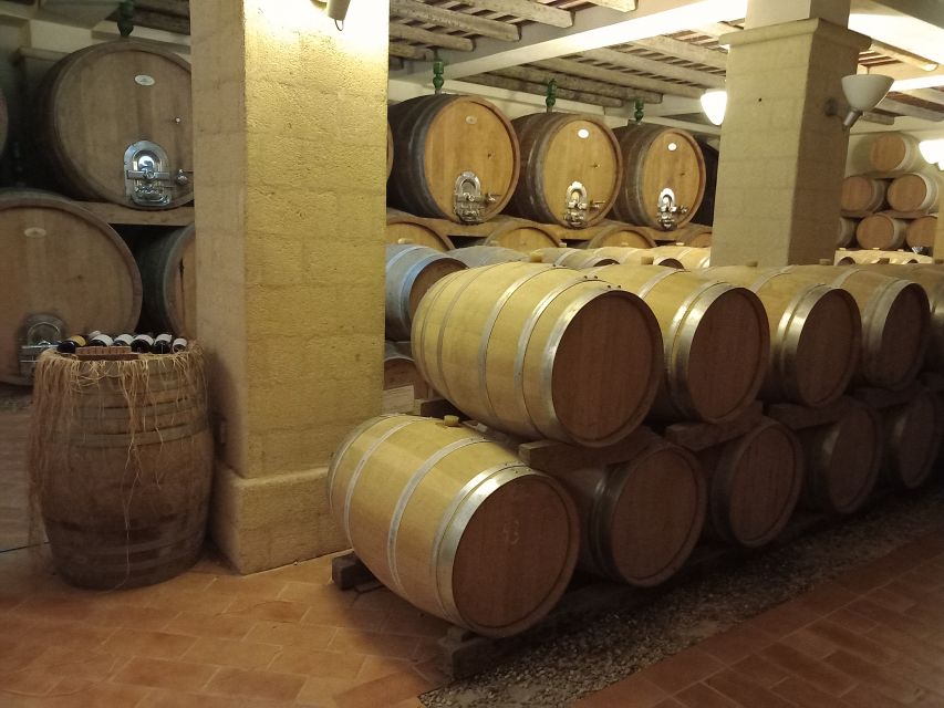 From Palermo: Erice and Marsala Day Trip with Lunch - Key things I’d mark on your mental map