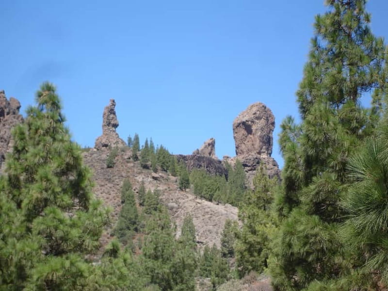 From Palmas: Pico de las Nieves & Roque Nublo Full-Day Trip - Key Highlights You’ll Actually Feel