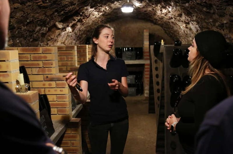 From Paris: Champagne Day Trip with 7 Tastings and Lunch - Key Points Worth Knowing Before You Go
