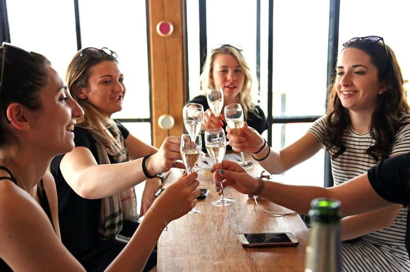 From Paris: Champagne Day Trip with 7 Tastings and Lunch - How the Day Trip Works: Getting From Paris to Champagne Without the Hassle