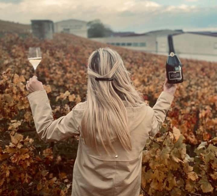 From Paris: Champagne Day Trip with 7 Tastings and Lunch - Who This Champagne Day Trip Suits Best (and Who Should Skip It)