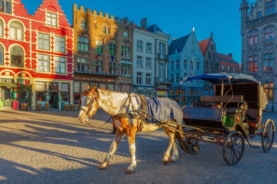 From Paris: Day Trip to Bruges with Optional Seasonal Cruise - Paris to Bruges in one day: what the schedule really feels like