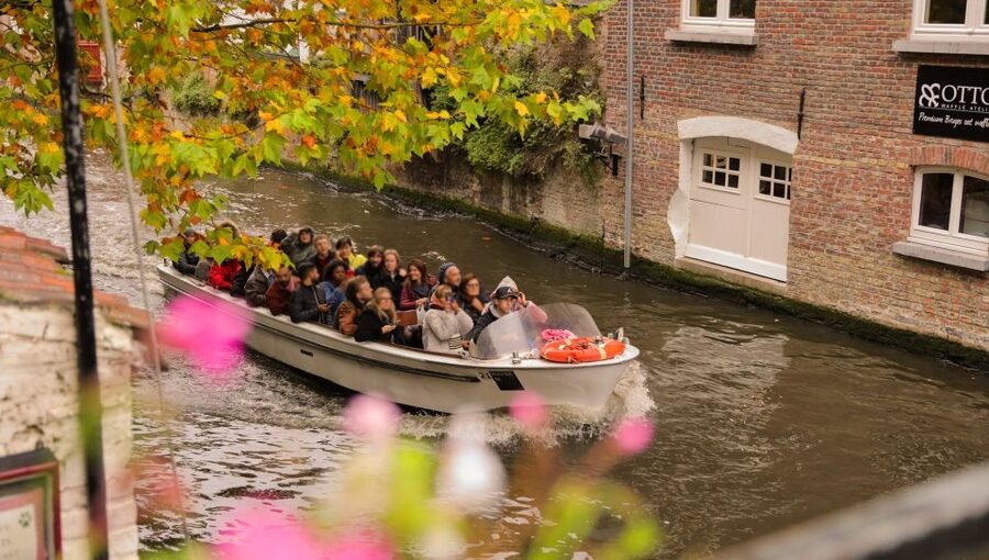 From Paris: Day Trip to Bruges with Optional Seasonal Cruise - The guided walk: City Hall, Place du Bourg, and Basilica of the Holy Blood