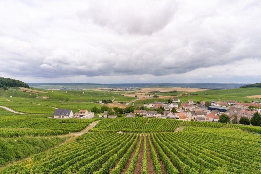 From Paris: Day Trip to Champagne with 8 Tastings & Lunch - Lunch with Champagne: real French food, real pairing, not just a stop