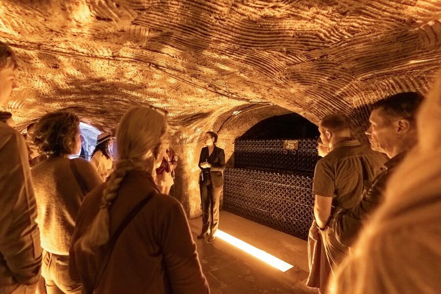 From Paris: Day Trip to Champagne with 8 Tastings & Lunch - Second producer visit: seeing two approaches to Champagne