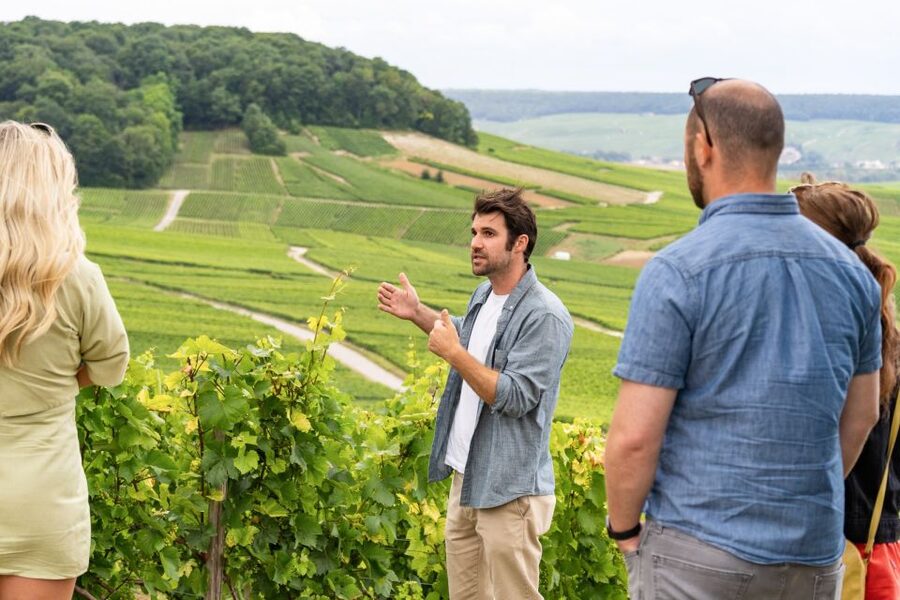 From Paris: Day Trip to Champagne with 8 Tastings & Lunch - The 8 tastings: how to enjoy it (and still taste clearly)
