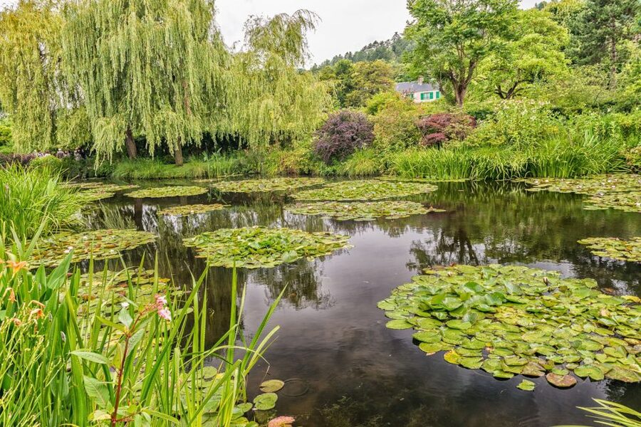 From Paris: Guided Day Trip to Monet's Garden in Giverny - Meeting outside La Flamme Café: the first small win