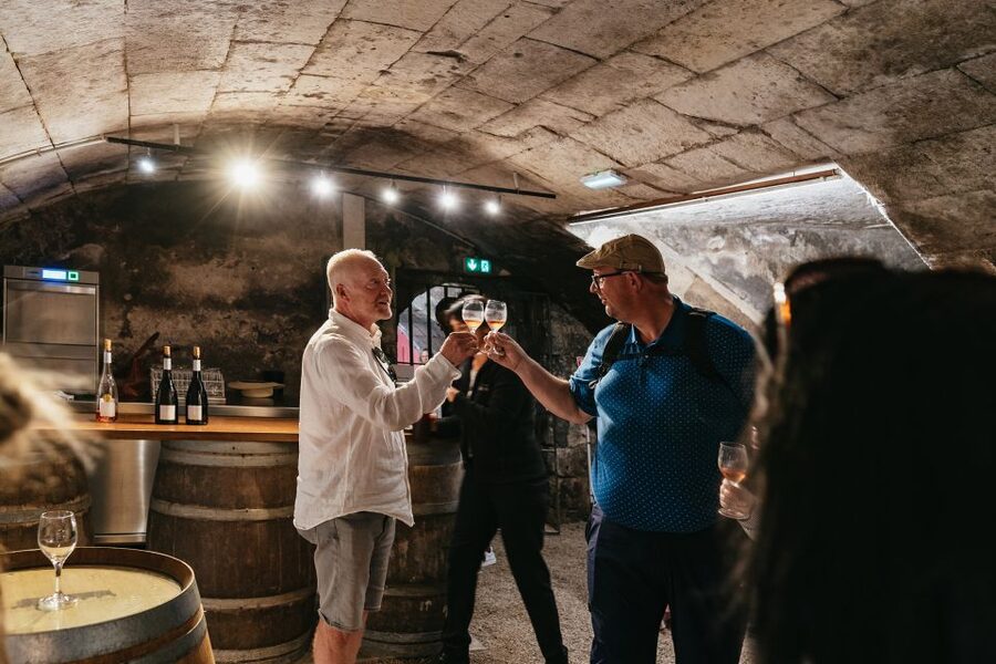 From Paris: Loire Valley Castles Day Trip With Wine Tasting - Château de Chenonceau: the Ladies’ Castle plus a real wine moment