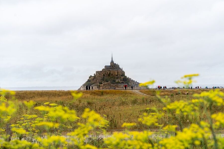 From Paris: Mont Saint Michel Day Trip with a Guide - Price and value: what $128 buys you (and what it doesn’t)