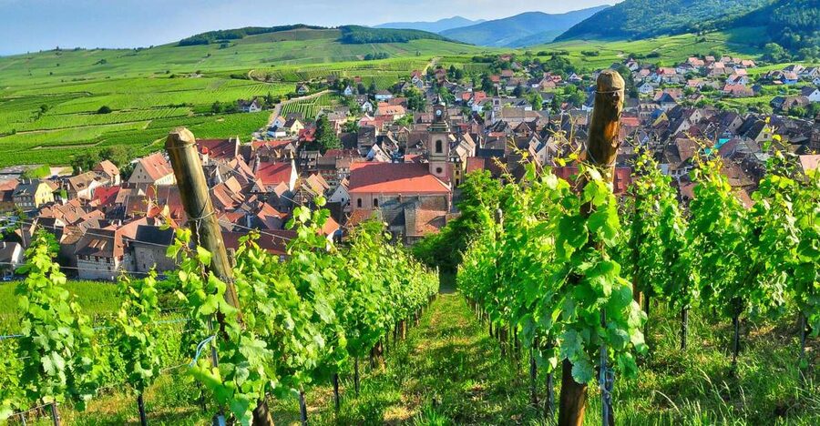 From Paris: Small-Group Champagne Day Trip with Six Tastings - Key things that make this trip worth your time