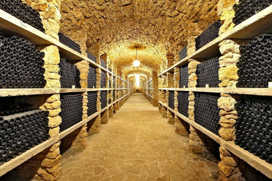 From Paris: Small-Group Champagne Day Trip with Six Tastings - Family-run winery: where you learn how Champagne grapes grow and get harvested