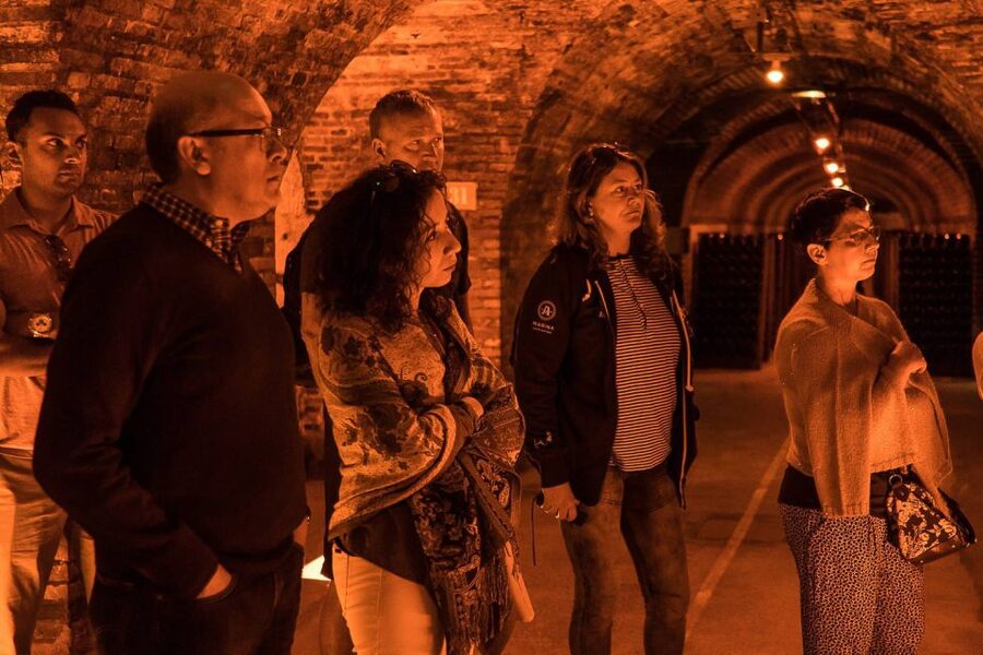 From Paris: Small-Group Champagne Day Trip with Six Tastings - Guides, timing, and comfort: what matters on an 11-hour day