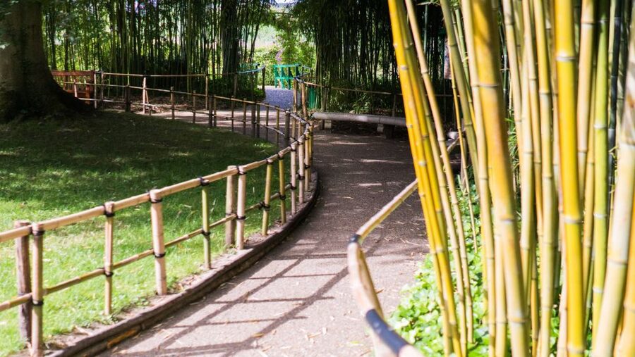 From Paris: Versailles and Giverny Full-Day Trip - The transfers: long enough to rest, short enough to stay in flow