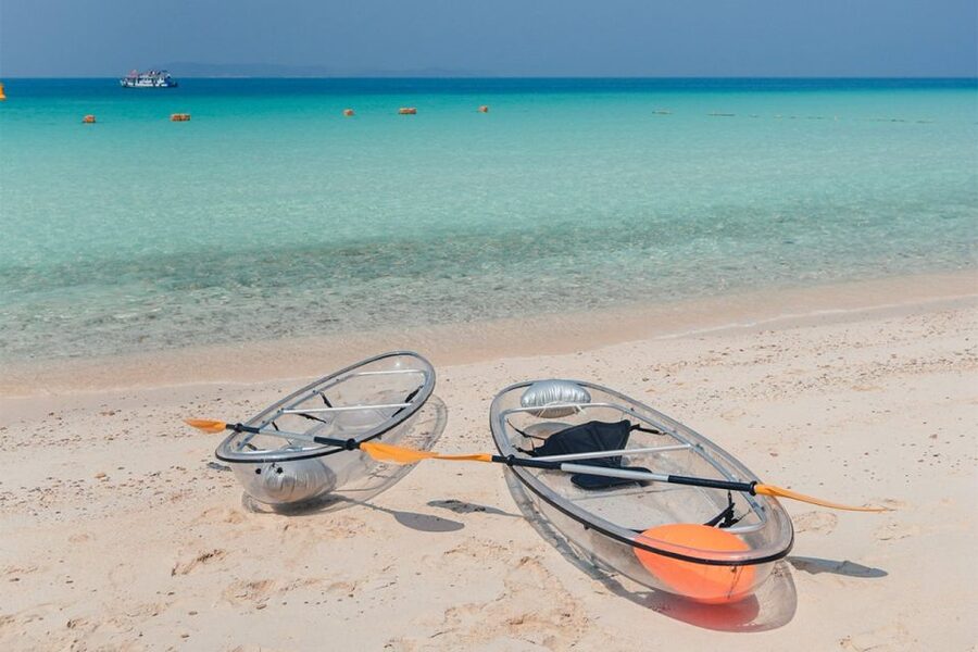 From Pattaya/Bangkok: Island Day Trip with Beach Activities - Price and value: why this $38 tour works better in a group day