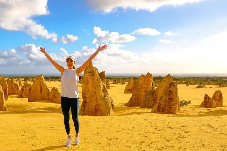 From Perth: Pinnacles Lobster Shack and Yanchep Day Trip - Yanchep mornings: wildflowers, wildlife, and your choice of lavender or chocolates