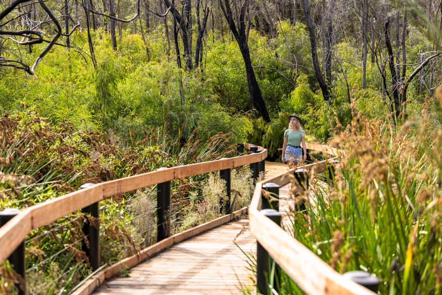 From Perth: Pinnacles Lobster Shack and Yanchep Day Trip - Lake Thetis boardwalk and stromatolites: fossils you can see with your own eyes