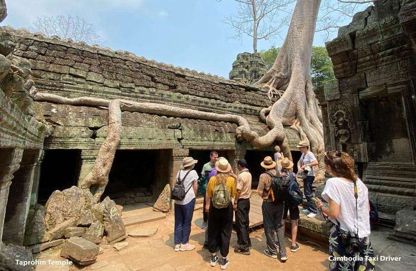 From Phnom Penh: Angkor Wat, Bayon, and Ta Prohm Day Trip - Ta Prohm: the Tomb Raider temple and why the jungle matters