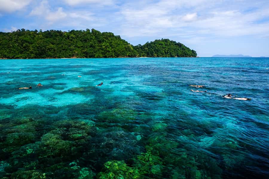 From Phuket/Khaolak: Surin Islands Snorkeling Day Trip - Key things that make this trip work