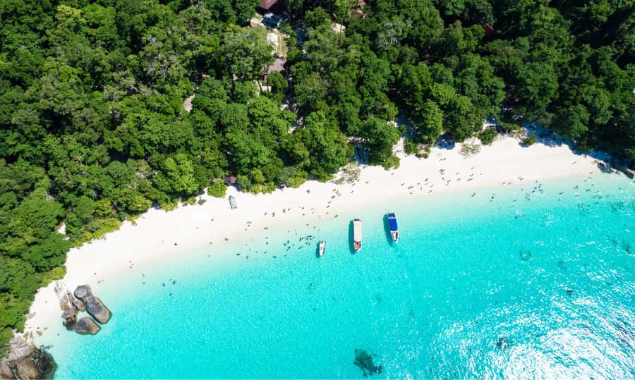 From Phuket or Khaolak : Similan Islands Day Trip - Ba Ngu (Ko Bangu) coral bay snorkeling: where fish spotting becomes real