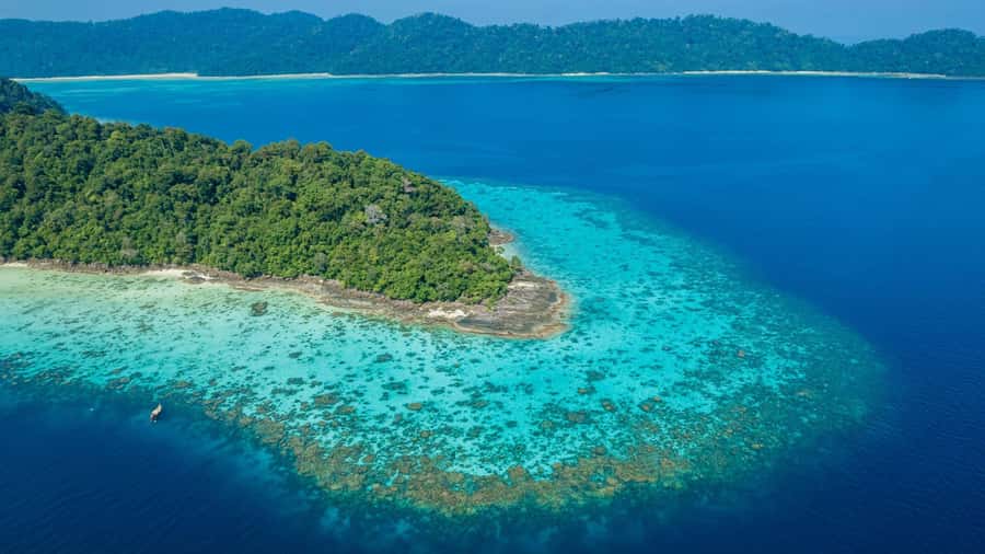 From Phuket or Khaolak: Surin Islands Day Trip - Price and value: what you get for about $109