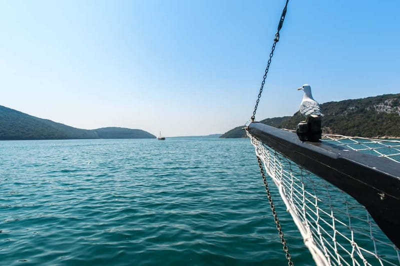 From Poreč: Boat Day Trip to Rovinj with Fish Lunch - Key things to know before you go