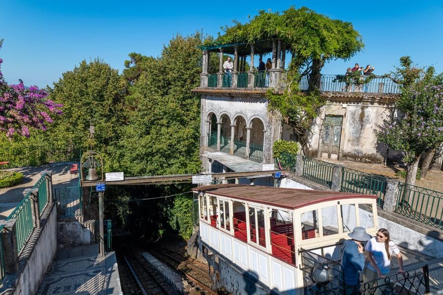 From Porto: Braga and Guimarães Full-Day Trip - Who should book this full-day Braga and Guimarães trip