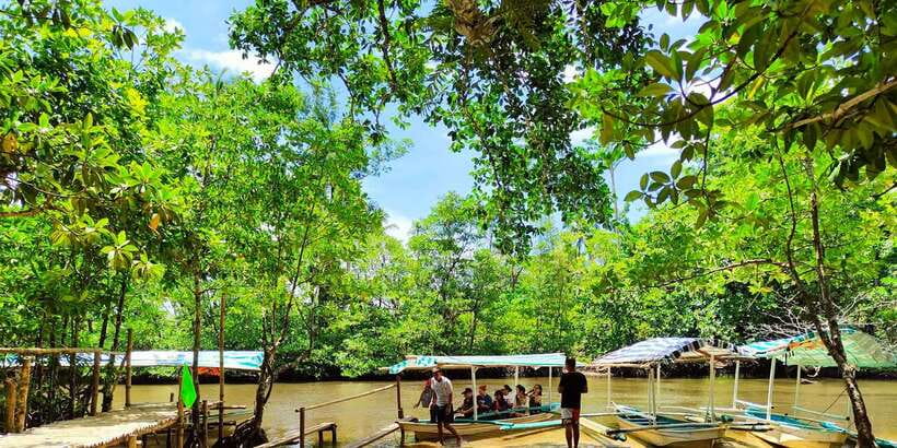 From Puerto Princesa: Underground River Guided Day Trip - Who this tour fits best (and who should skip it)
