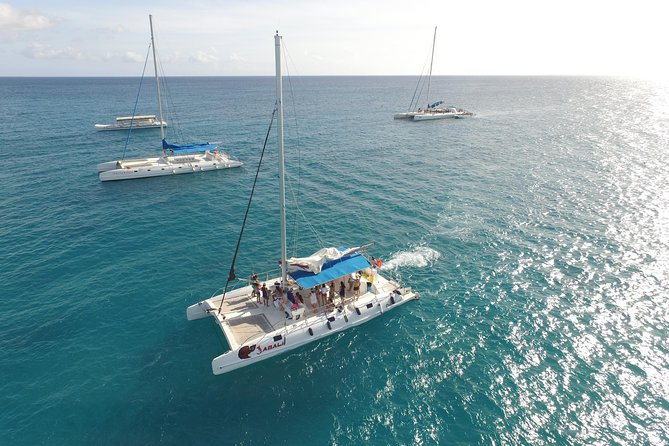 From Punta Cana: Saona Island & Altos de Chavon Day Trip with Lunch and Open Bar - Saona Island: white sand time, BBQ lunch, and the real chair situation