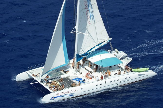 From Punta Cana: Saona Island & Altos de Chavon Day Trip with Lunch and Open Bar - Natural swimming pool stop: the quick splash between big moments