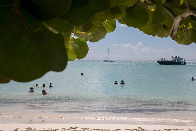 From Punta Cana: Saona Island & Altos de Chavon Day Trip with Lunch and Open Bar - Who this fits best (and who should skip it)